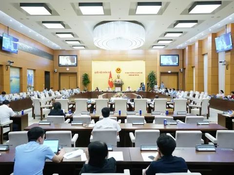 Không áp dụng thuế suất ưu đãi với công ty con để tránh trục lợi chính sách