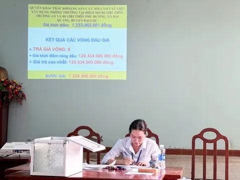 Đấu giá mỏ cát ở Quảng Nam: Khởi điểm vài tỉ, chốt giá hàng trăm tỉ